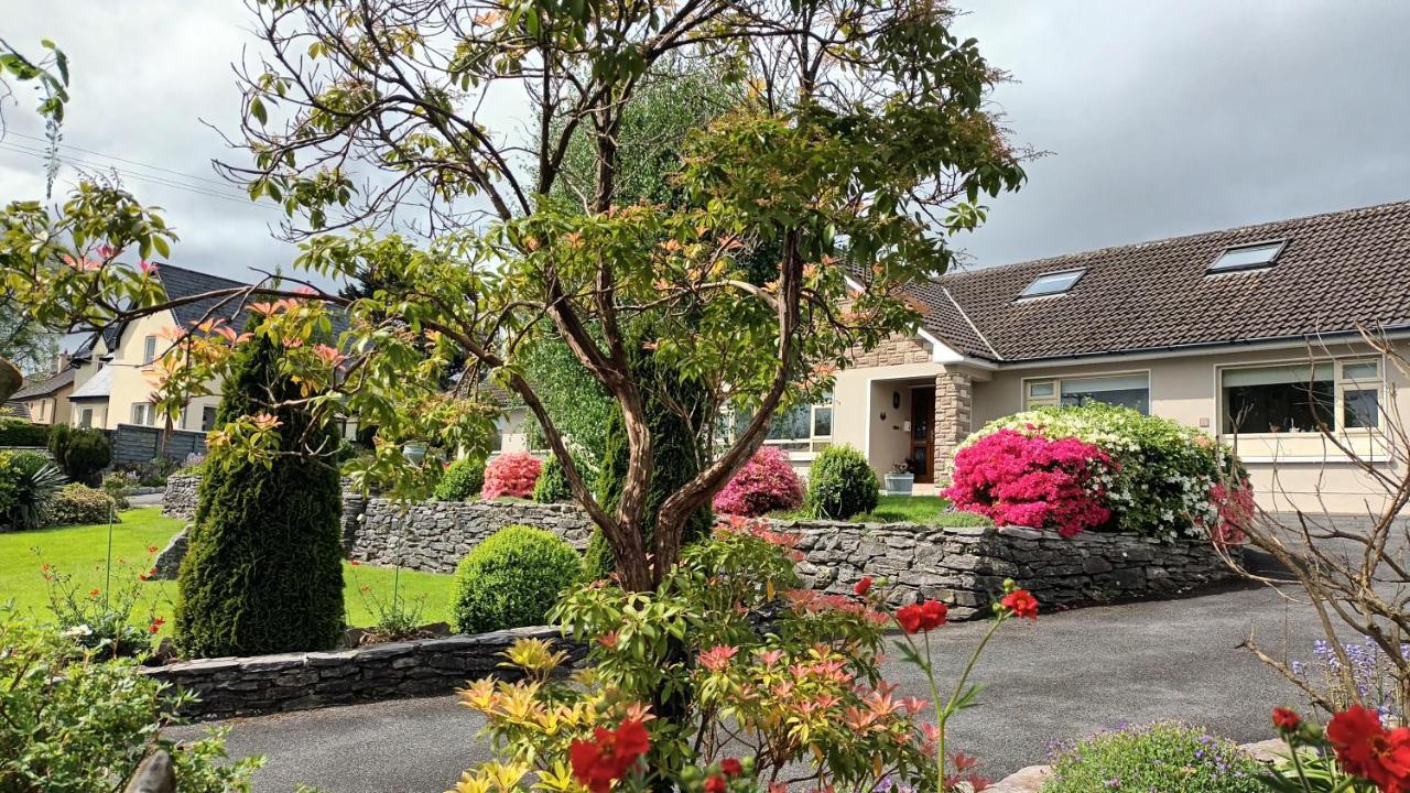 Laburnum B&B Kenmare Exteriér fotografie