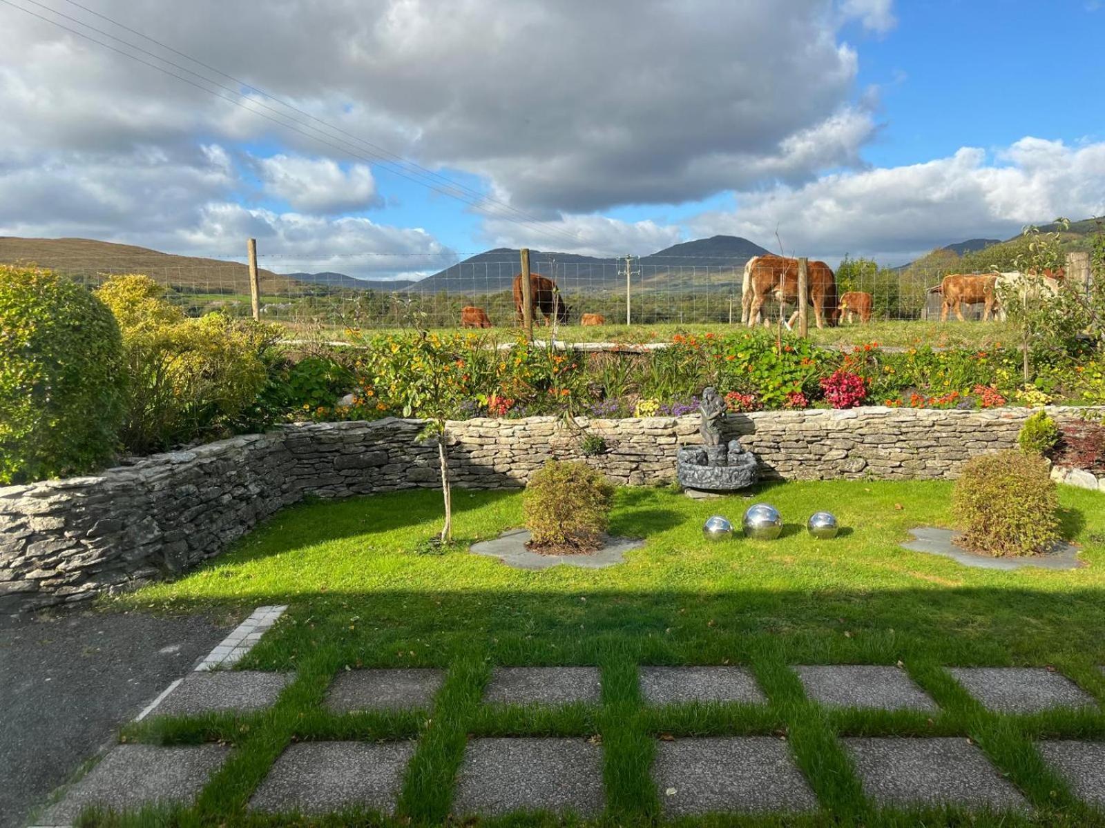 Laburnum B&B Kenmare Exteriér fotografie