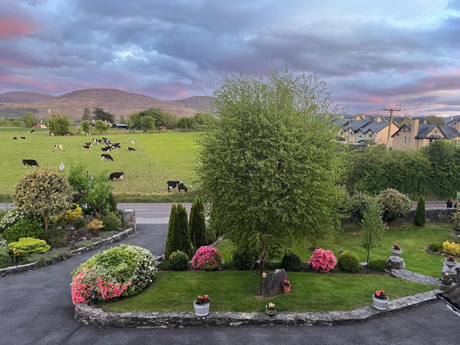 Laburnum B&B Kenmare Exteriér fotografie