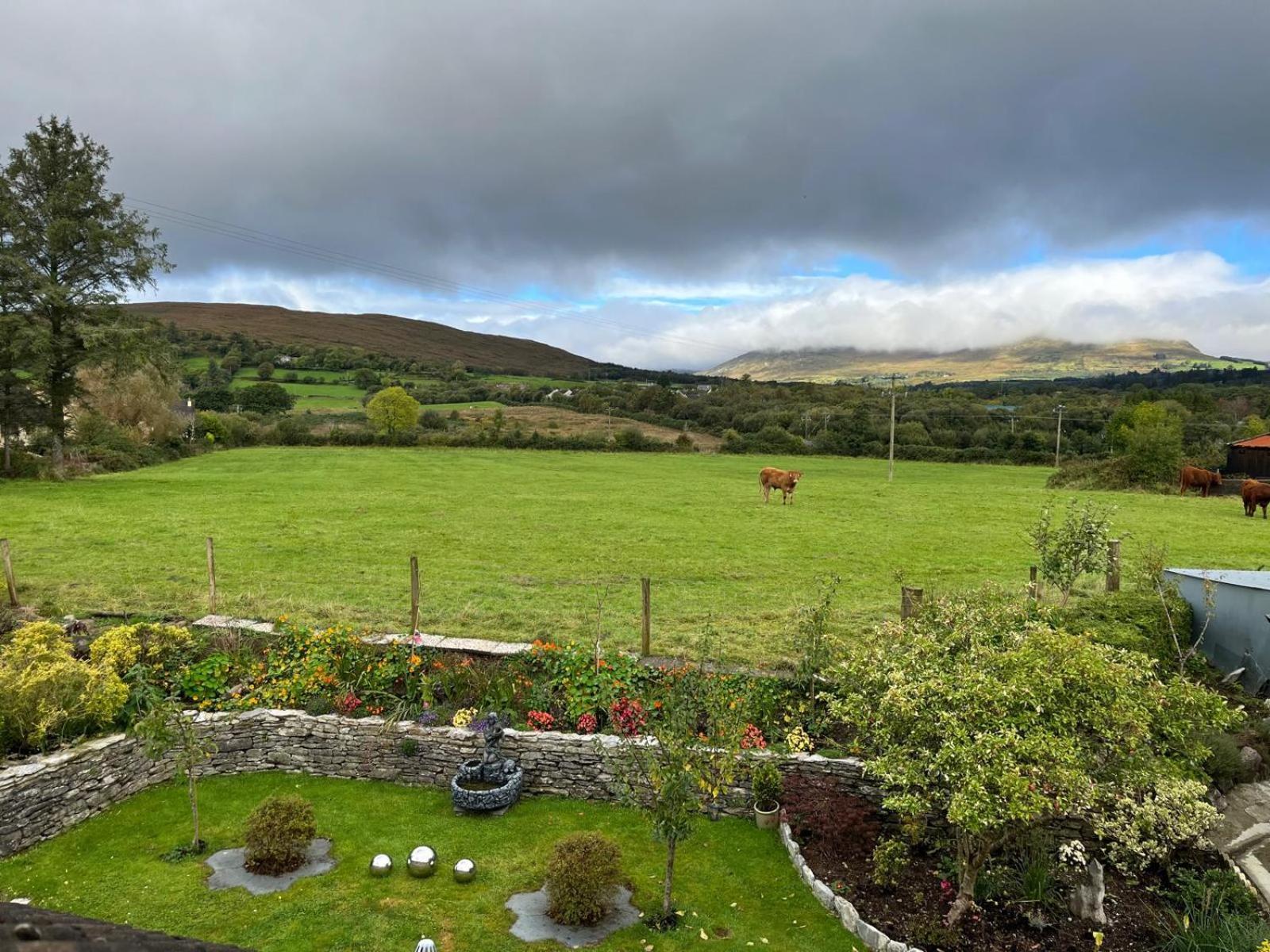 Laburnum B&B Kenmare Exteriér fotografie